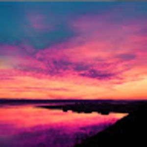 Meet your Posher, Barb the builder